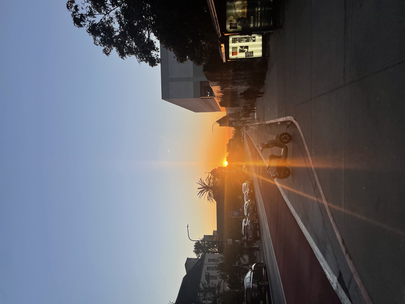 A sunset at the end of a Berkeley street, light flaring down the road